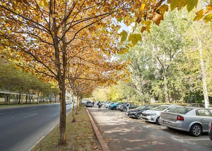 G24 - Luxurious & Cozy Inspired By Freedom