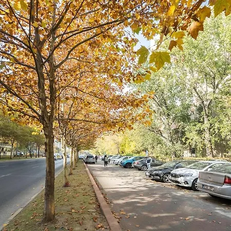 G24 - Luxurious & Cozy Inspired By Freedom